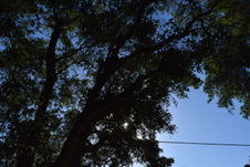 Enlarge photo 205