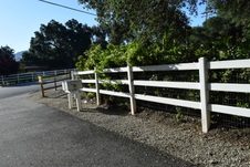 Enlarge photo 207