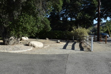Enlarge photo 216