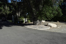Enlarge photo 217
