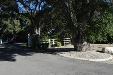 Enlarge photo 218