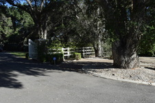 Enlarge photo 219