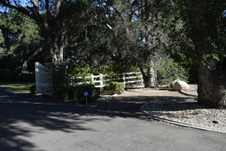 Enlarge photo 220