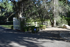 Enlarge photo 221