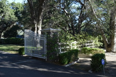 Enlarge photo 223
