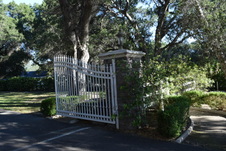 Enlarge photo 224