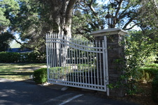 Enlarge photo 225