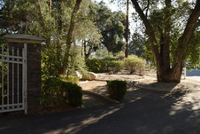 Enlarge photo 231