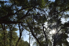 Enlarge photo 235