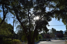 Enlarge photo 236