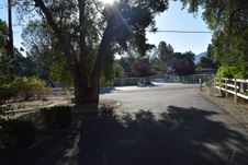 Enlarge photo 237