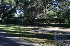 Enlarge photo 239