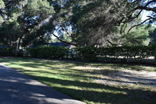 Enlarge photo 240