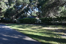 Enlarge photo 241