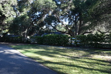 Enlarge photo 242