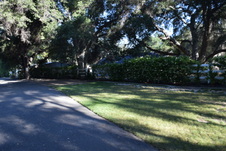 Enlarge photo 243