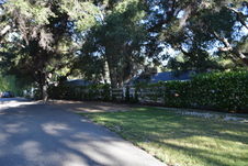 Enlarge photo 245