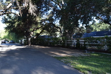 Enlarge photo 247