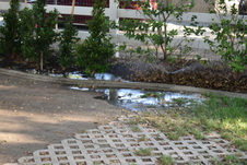 Enlarge photo 249