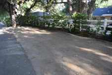 Enlarge photo 251