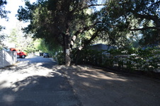 Enlarge photo 252