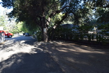Enlarge photo 253