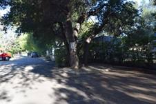 Enlarge photo 254