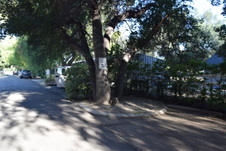 Enlarge photo 255