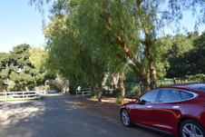Enlarge photo 274