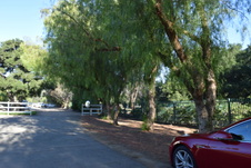 Enlarge photo 275