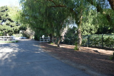 Enlarge photo 276