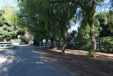 Enlarge photo 277