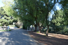 Enlarge photo 278