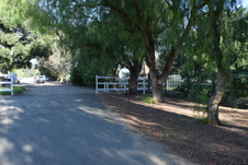 Enlarge photo 279