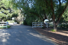 Enlarge photo 280