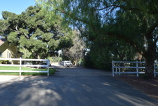 Enlarge photo 281