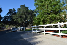 Enlarge photo 290