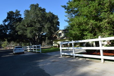 Enlarge photo 291