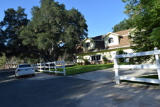 Enlarge photo 292
