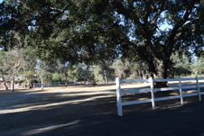 Enlarge photo 303