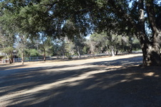 Enlarge photo 305