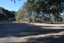 Enlarge photo 306