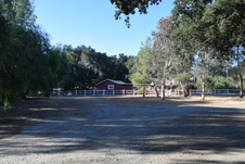 Enlarge photo 307