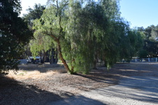 Enlarge photo 309
