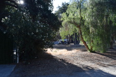 Enlarge photo 310