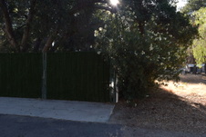 Enlarge photo 311
