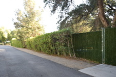 Enlarge photo 314