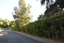 Enlarge photo 315