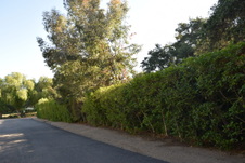 Enlarge photo 316