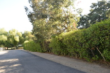 Enlarge photo 317
